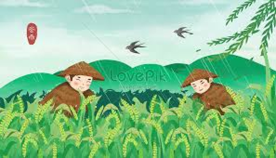 Potensi Pertanian dan Ekonomi Lokal